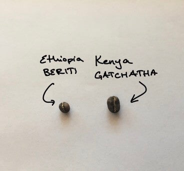 Small but Mighty: Welcoming the Ethiopia Beriti to Sump