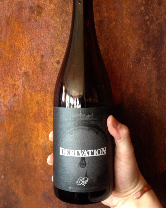 Notes on the coffee in Side Project Brewing's Derivation #5