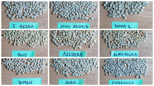 Random Walk Through Some Current Green Coffees