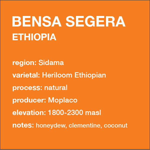 ETHIOPIA Bensa Segera