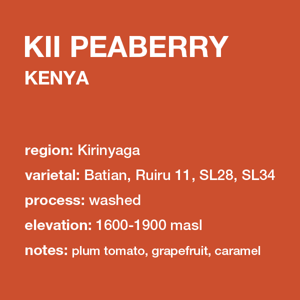 **NEW** KENYA Kii Peaberry 12 oz. bag