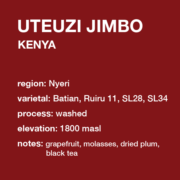 **NEW** KENYA Uteuzi Jimbo
