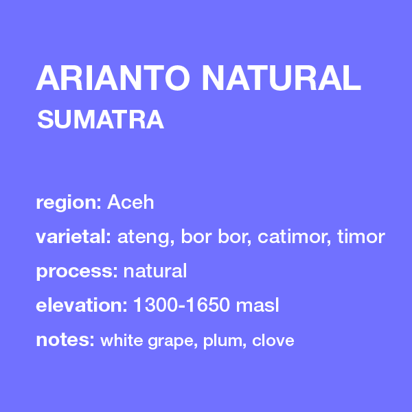 SUMATRA Arianto // natural