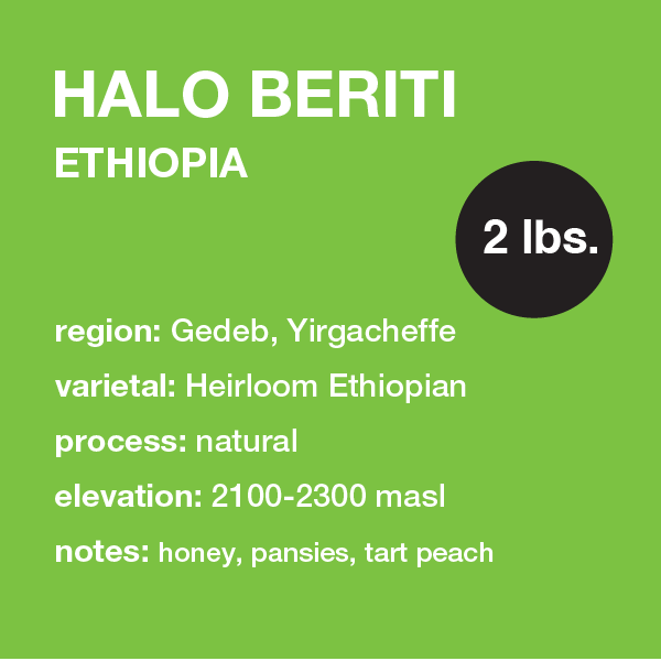 **NEW** ETHIOPIA Halo Bereti 2 lbs. bag