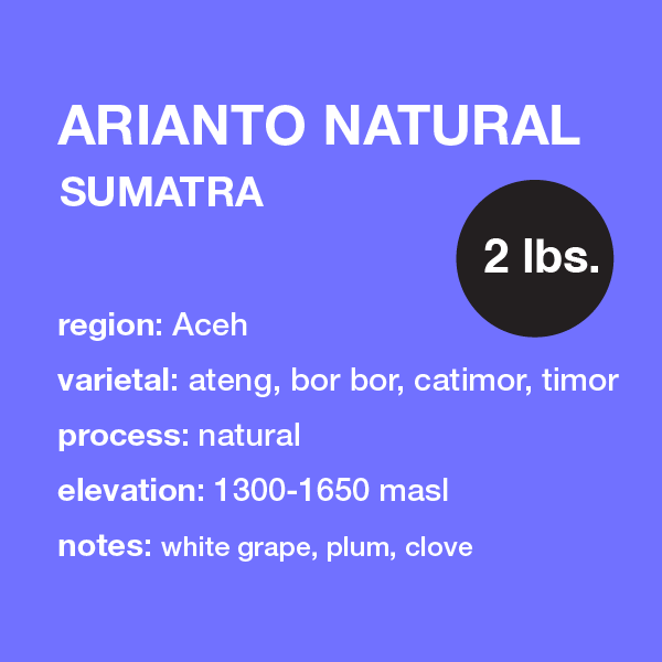 SUMATRA Arianto // natural