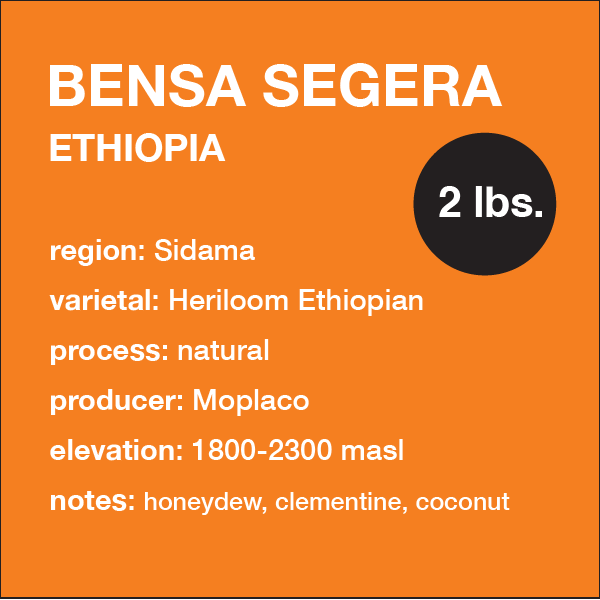 ETHIOPIA Bensa Segera