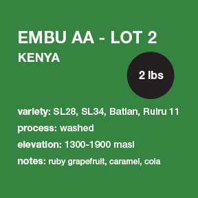 **NEW** KENYA Embu AA - Lot 2