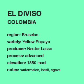 **NEW** COLOMBIA El Diviso (8 oz. only)