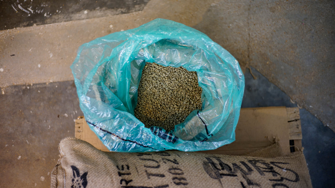 NEW KENYA RELEASE. NGARIAMA.
