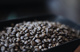 Sump Coffee