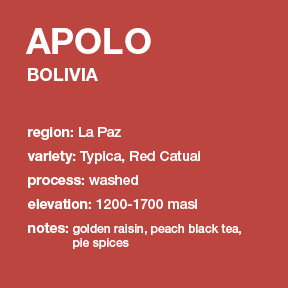 Photo of NEW BOLIVIA Apolo