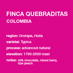 Photo of Colombia Finca Quebraditas
