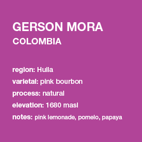 **NEW** COLOMBIA Gerson Mora // natural