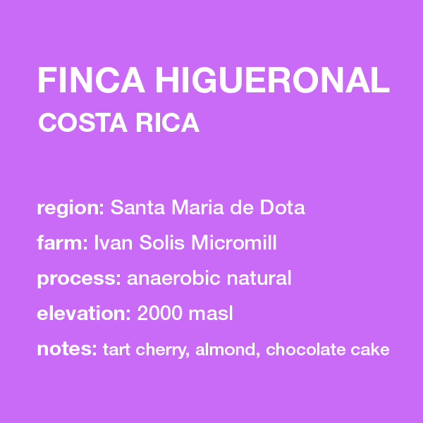 **NEW** COSTA RICA Finca Higueronal 12 oz. bag
