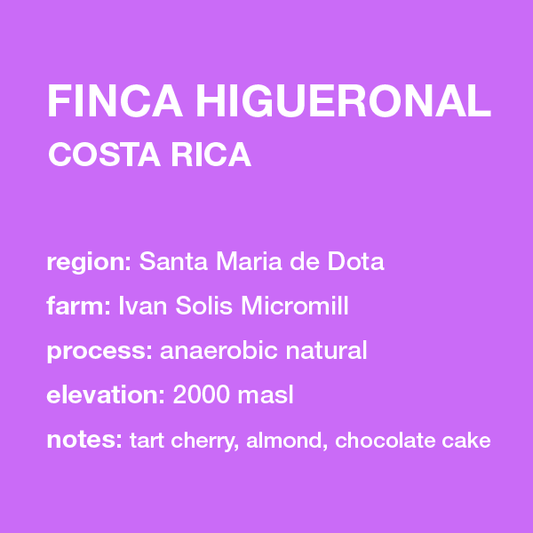 **NEW** COSTA RICA Finca Higueronal 12 oz. bag
