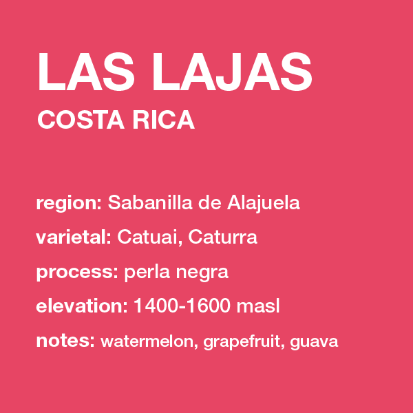 **NEW** COSTA RICA Las Lajas 12 oz. bag