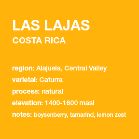 **NEW** COSTA RICA Las Lajas 12 oz. bag