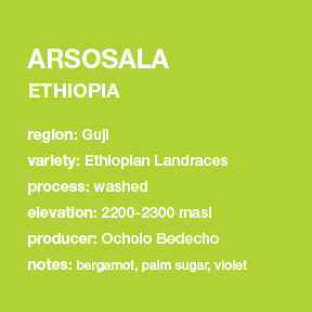 **NEW** ETHIOPIA Arsosala 12 oz. bag