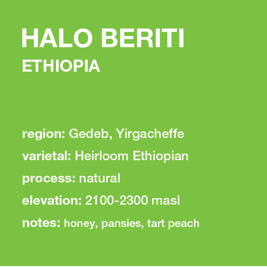 **NEW** ETHIOPIA Halo Bereti