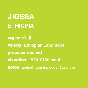Photo of Ethiopia Jigesa