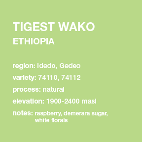 **NEW** ETHIOPIA Tigest Wako 12 oz. bag