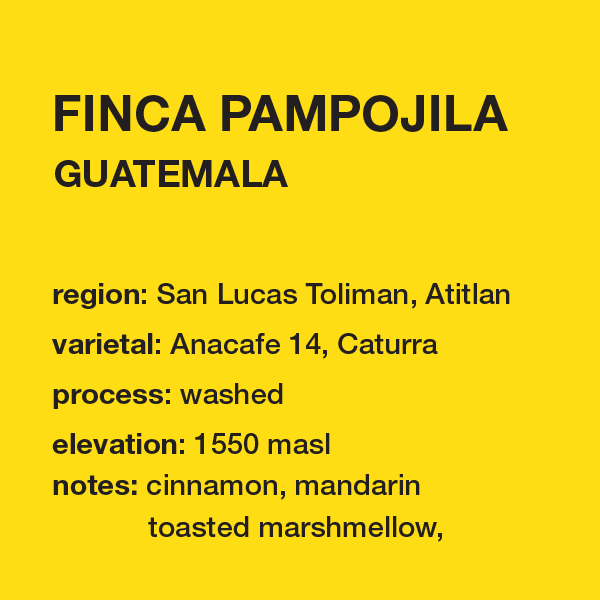 **NEW** GUATEMALA Finca Pampojila 12 oz. bag