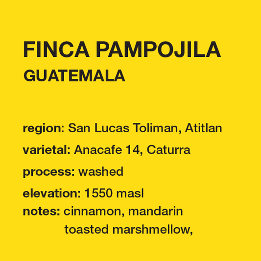 **NEW** GUATEMALA Finca Pampojila 12 oz. bag