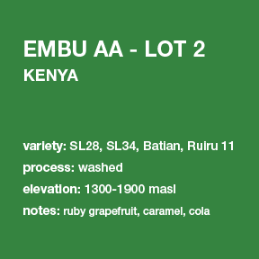 **NEW** KENYA Embu AA - Lot 2