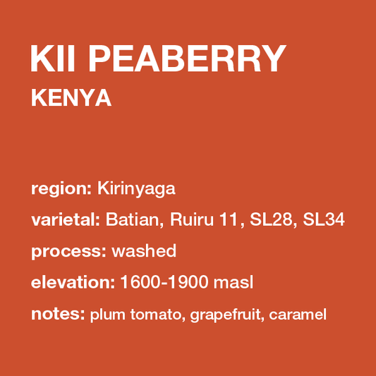 **NEW** KENYA Kii Peaberry 12 oz. bag