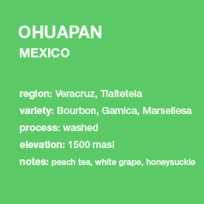Photo of New Mexico Ohuapan