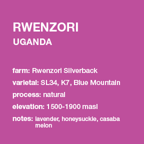 **NEW** UGANDA Rwenzori 12 oz. bag