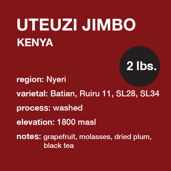 **NEW** KENYA Uteuzi Jimbo