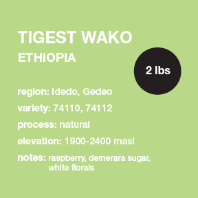 **NEW** ETHIOPIA Tigest Wako 2 lbs. bag