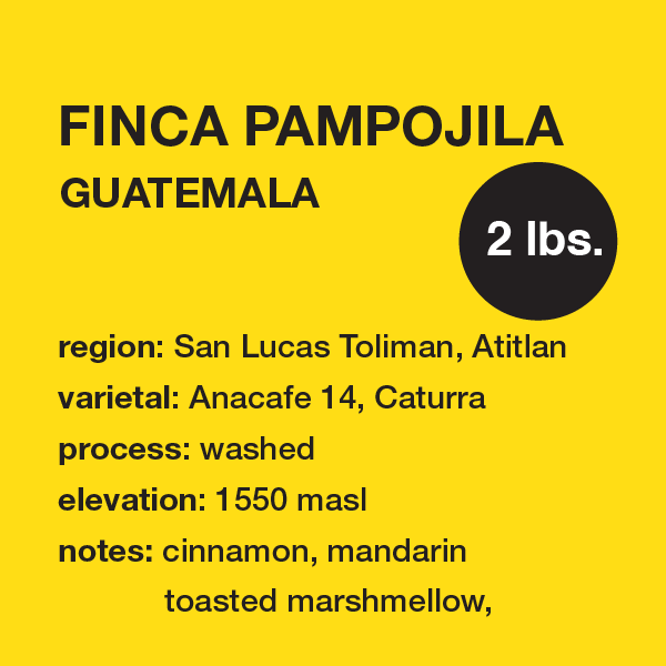 **NEW** GUATEMALA Finca Pampojila 2 lbs. bag