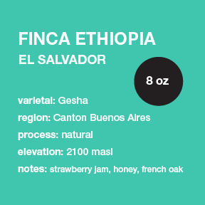 **NEW** EL SALVADOR Finca Ethiopia (Gesha var.) // 8 oz only 8 oz. bag