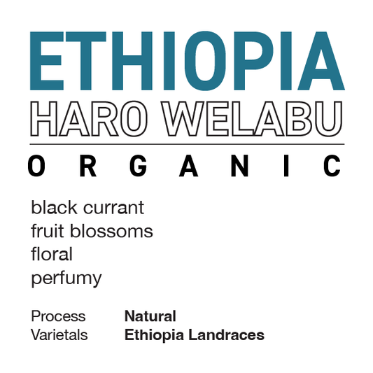 **NEW** ETHIOPIA Haro Welabu
